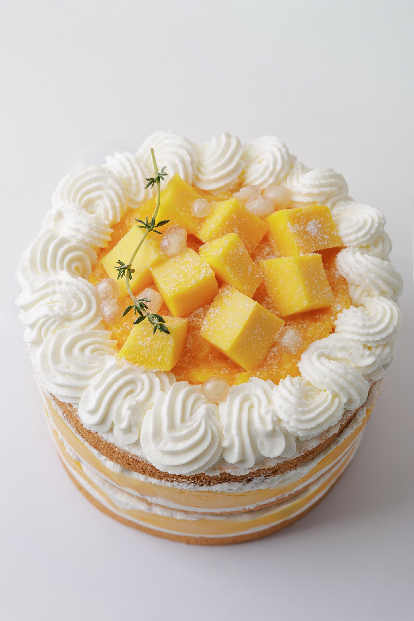 芒果很忙 · Mango's Busy 🥭
