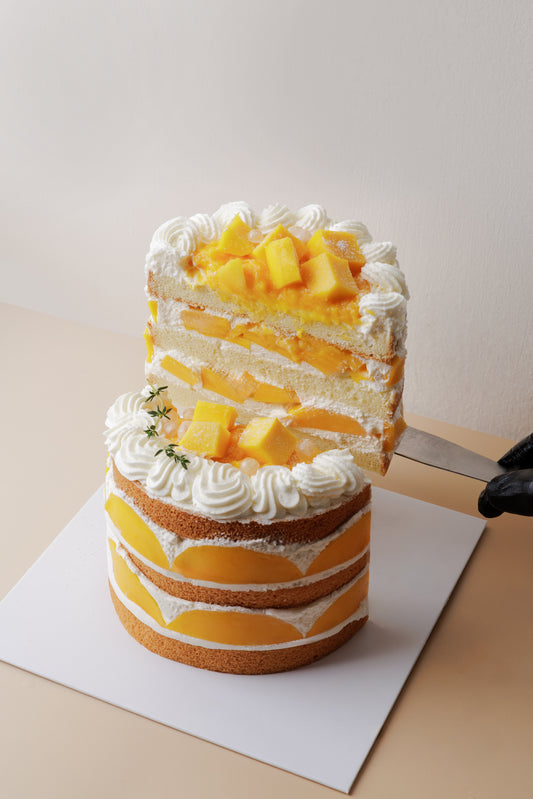 芒果很忙 · Mango's Busy 🥭